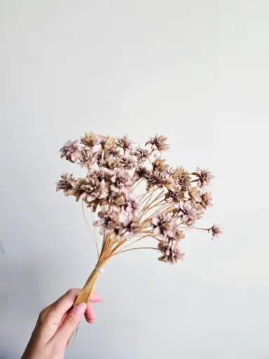 Caramel/Mini Corn Flower