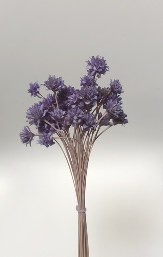 [lavender] Lavender/Small Mountain Flower(Mini Cone Flower）
