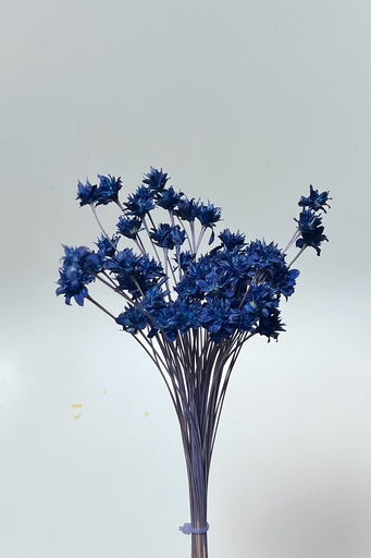 [royal blue] Royal Blue/Small Mountain Flower(Mini Cone Flower）