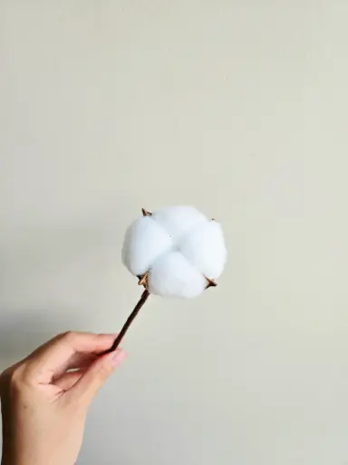 [10 stems a pack] White/Cotton Flower(Single Head)