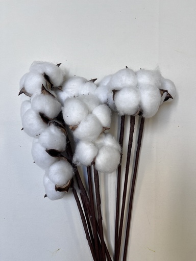 [white] White/Cotton Flower(Single Head)