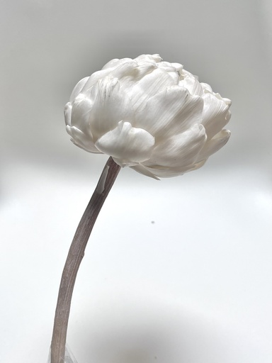[white] White / Lotus (Artichoke)