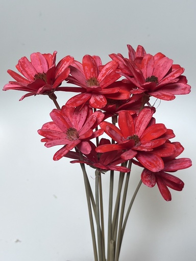 [bright red] Bright Red/Sola Wood Petite Flower