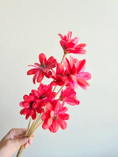 Red/Sola Wood Petite Flower