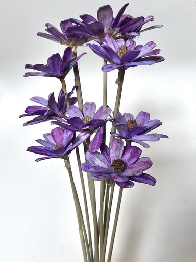 [light redish purple] light redish purple/Sola Wood Petite Flower