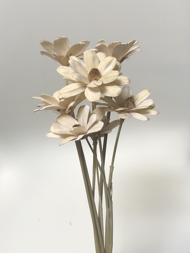 [White] White/Sola Wood Petite Flower