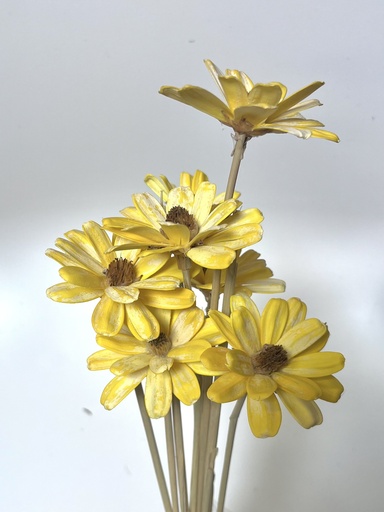 Yellow orange/Sola Wood Petite Flower