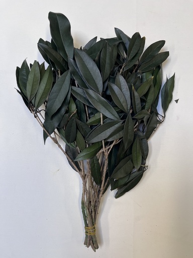 [Green] osmanthus