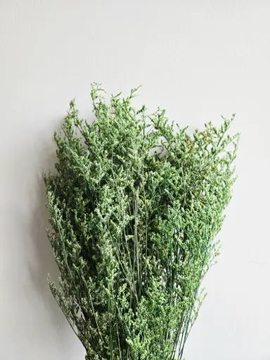 Green/Limoniums/Caspia (Lover Grass)