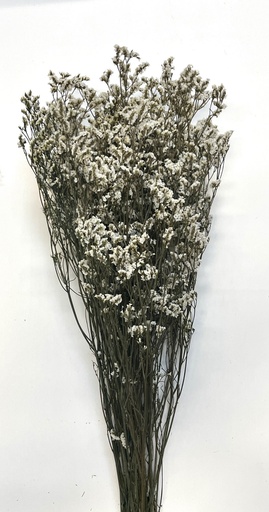 [Natural color] Natural color/Sea Lavender(Limonium)