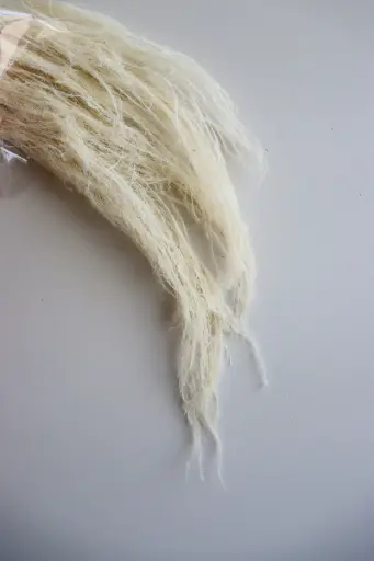 White/Chinese Alpine Rush