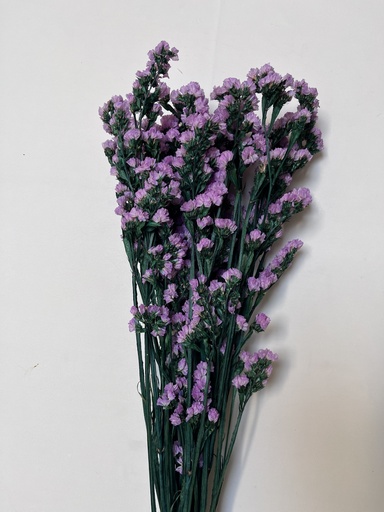 [statice] Purple/Preserved Statice