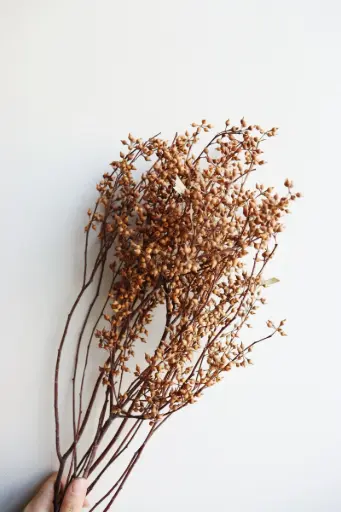 Yellow/ Millet Fruit