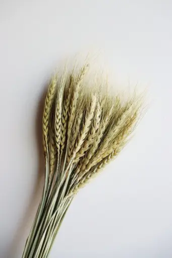 Natural /Wheat