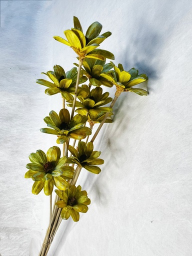 [Fruit Green] Fruit Green /Sola Wood Petite Flower