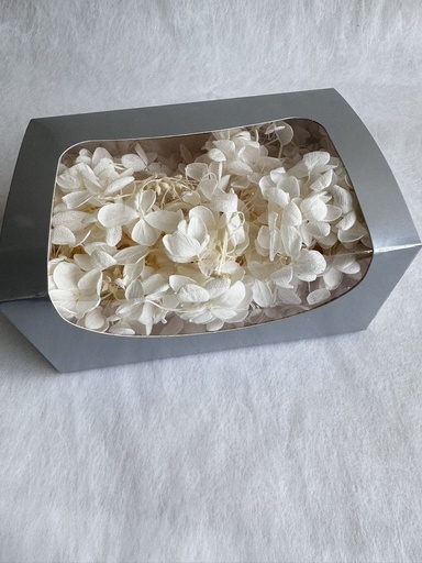 [pedal] White / Hydrangea 