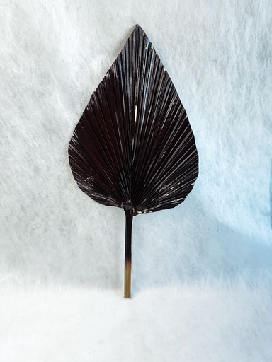 [Chocolate] Chocolate/Cat tail Leaf Fan/Palm Fan