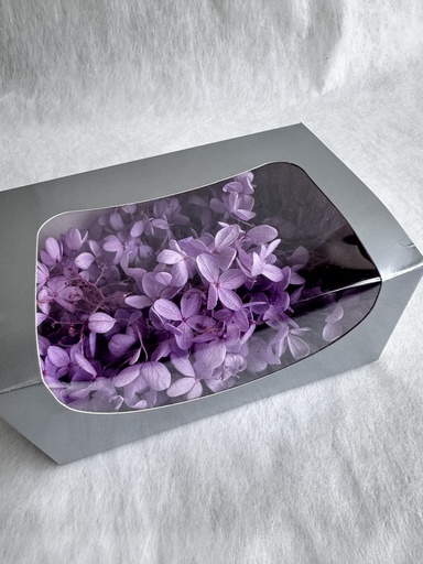 [Purple] Hydrangea (petal )/Purple