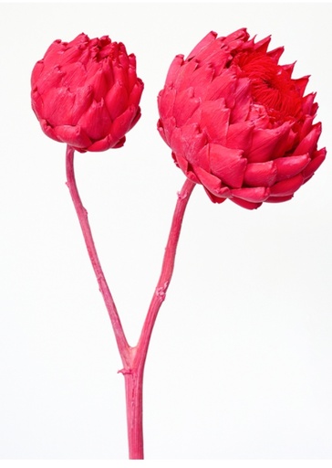 [Red] red / mini / artichoke