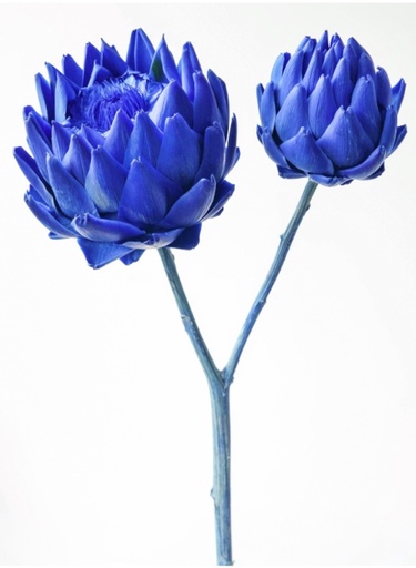 [klein blue] Klein Blue / Mini / Artichoke