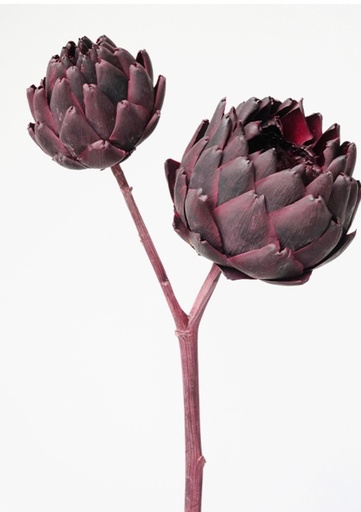 [Wine Red]  wine red / single stem / mini / artichoke