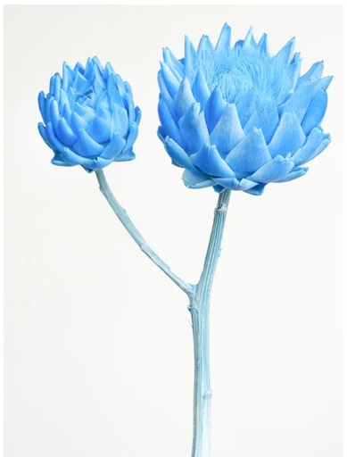 [sky blue] Sky Blue/Single Stem/Artichoke