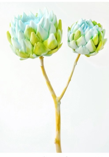 [Spring Green] Artichoke/Mini/Spring Green