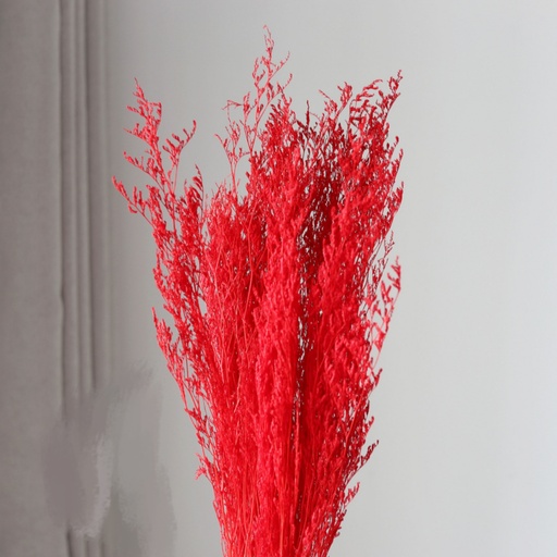[Red]  Red/Limoniums/Caspia (lover grass)