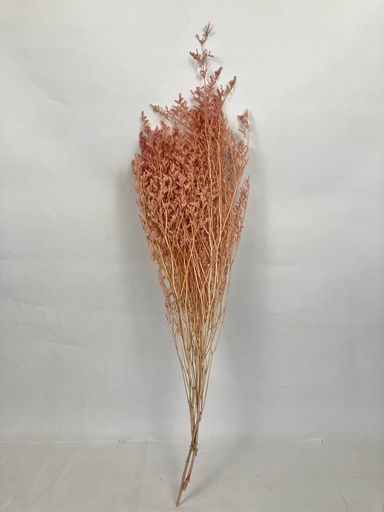 Pink/Limonium/Caspia (Lover Grass)