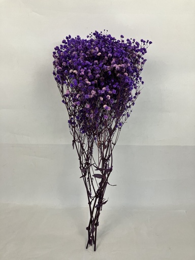 [Dual-Tone Purple] Dual-Tone Purple/Bleached Gypsophila 