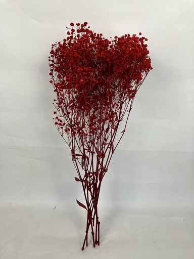 Red/Gypsophila