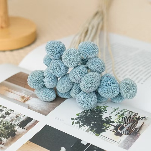 [Sky Blue] Sky Blue/Billy ball
