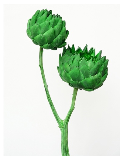 [DarkGreen] DarkGreen/Artichoke/Single Stem
