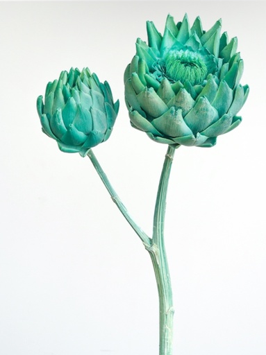 [Peacock Green] Artichoke/Single Stem/Peacock Green 