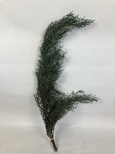 [green] Cypress