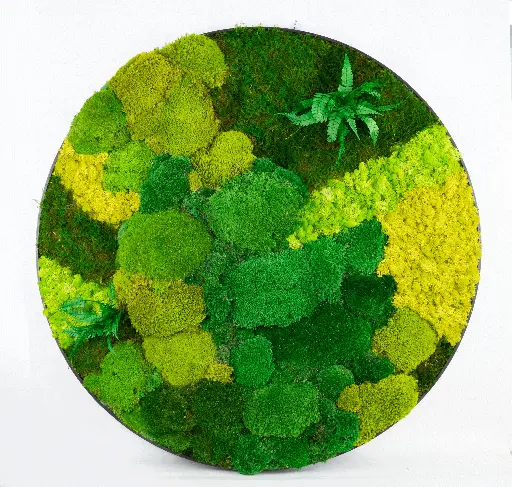 100cm/Moss Home Decor Wall Art