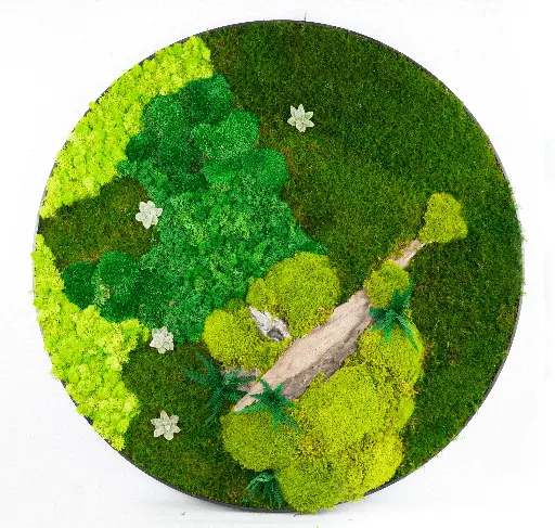 60cm/Moss Home Decor Wall Art