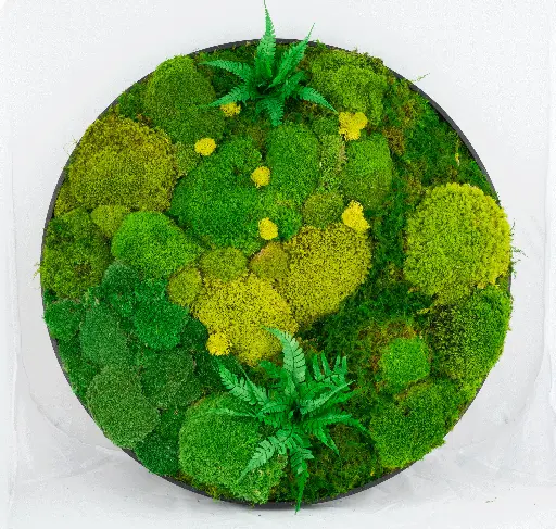 30cm/Moss Home Decor Wall Art