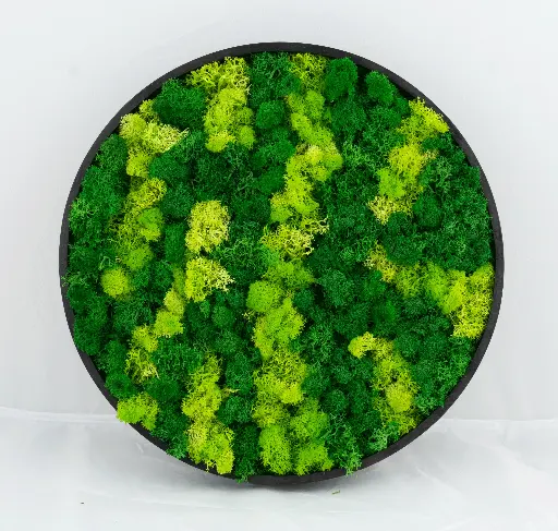 30cm/Moss Home Decor Wall 