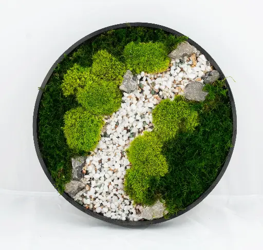 30cm/Moss Home Decor Wall Art