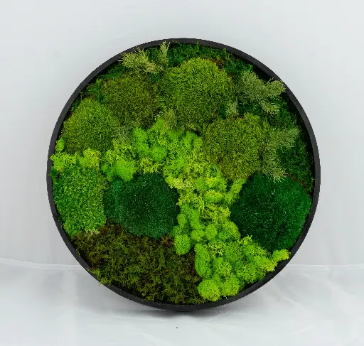 30cm/Moss Home Decor Wall Art