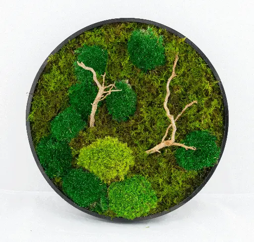 30cm/Moss Home Decor Wall Art