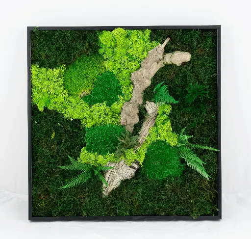 40cm/Moss Home Decor Wall Art