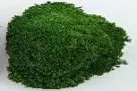 G3/POLE MOSS/ Dark Green