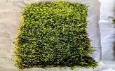 [dark green] G3/FERN MOSS/Dark Green