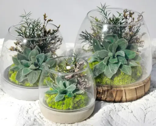 Small Glass Dome Terrarium with Moss