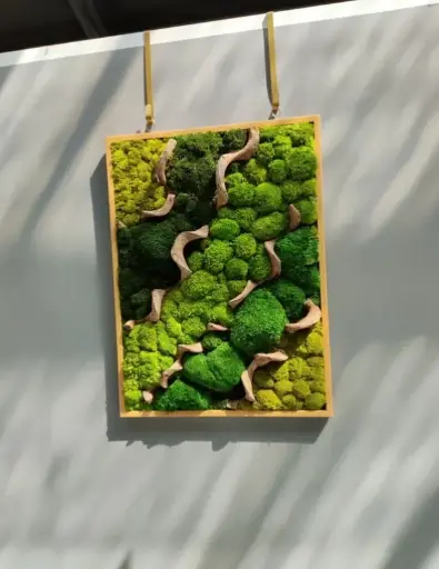 Rectangular Moss Frame