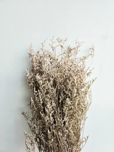  Natural/Limonium/Caspia (Lover grass)