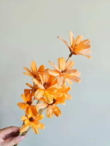 Tangerine/Sola Wood Petite Flower
