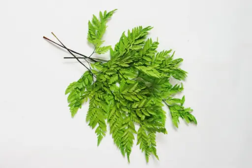 Apple Green/Small Fern